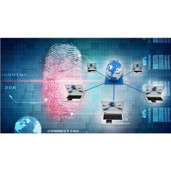 河北官方網(wǎng)絡推廣服務解析 客戶至上的羅卜特科技信息技術(shù)